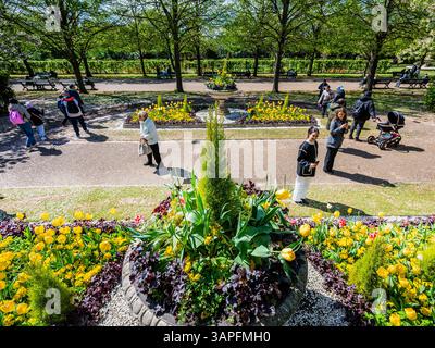 London, Großbritannien. April 2025. Die letzte Blüte und die blühenden Tulpen bieten eine Kulisse für Touristen und Arbeiter in der Mittagszeit. Die Menschen genießen sonniges Frühlingswetter im Regent's Park, London. Guy Bell/Alamy Live News Stockfoto