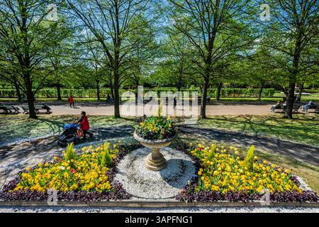 London, Großbritannien. April 2025. Die letzte Blüte und die blühenden Tulpen bieten eine Kulisse für Touristen und Arbeiter in der Mittagszeit. Die Menschen genießen sonniges Frühlingswetter im Regent's Park, London. Guy Bell/Alamy Live News Stockfoto