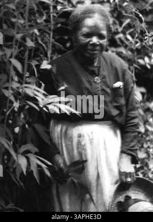 Das Bild zeigt eine afroamerikanische Frau, die in der Nähe von Weinstöcken steht und einen großen Strohhut hält. Das Foto zeigt sie in einer ländlichen Umgebung und betont ihre natürliche Umgebung und die Verbindung zur Landschaft. Stockfoto