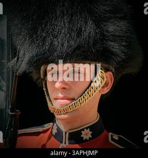 Eine Rettungswache der Household Cavalry, bei Horsegaurds Parade, Whitehall, London, Großbritannien Stockfoto