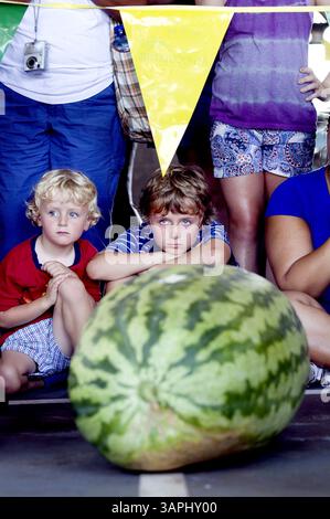 4. August 2011 – Raleigh, NC, USA – Garner Smith, 5, links, und sein Bruder William Smith, 10, sehen sich den größten Wassermelonenwettbewerb am Donnerstagmorgen, den 4. August 2011, während des jährlichen Watermelon Day in Raleigh, North Carolina an. Die Siegermelone Mitte von Robert Worley und seinem Sohn Adam Worley aus Cerro Gordo, N.C., gewann den Wettbewerb mit einem Gewicht von 212 Pfund. (Bild: © Robert Willett/Raleigh News & Observer/MCT/ZUMAPRESS.com) Stockfoto