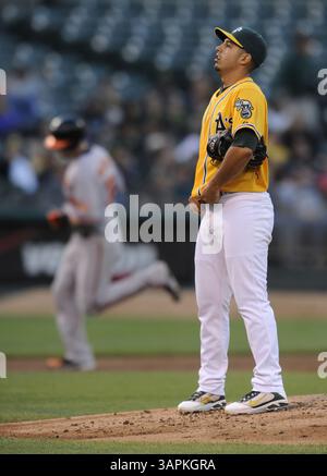 15. August 2011 – Oakland, CA, USA – Oakland Athletics Pitcher Gio Gonzalez reagiert, nachdem er im zweiten Inning des Spiels am Montag, den 15. August 2011 im O.Co Coliseum in Oakland, Kalifornien, einen Solo-Heimlauf gegen Matt Wieters von Baltimore Orioles aufgegeben hatte. (Kreditbild: © Jose Carlos Fajardo/Contra Costa Times/MCT/ZUMAPRESS.com) Stockfoto