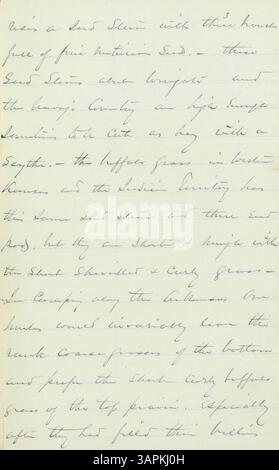Ein Brief von W. T. Sherman an General Benjamin Alvord vom 22. Februar 1884. Sherman kommentiert einen artikel von Alvord im Bulletin of the American Geographical Society über Grasland im Westen Nordamerikas. Stockfoto