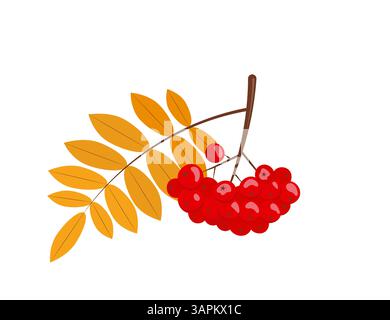 Haufen von vogelbeeren mit Blättern. Herbst-vogelzweig mit Blättern und roten Beeren. Isolierte Vektordarstellung in abgewickelter Form. Stock Vektor