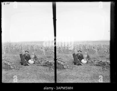 Dieses Stereo-Foto von Lee Moorhouse zeigt einen Mann, der mit Kürbissen und zwei Hunden auf einem Maisfeld steht und das ländliche Leben und die landwirtschaftlichen Praktiken in Oregon darstellt. Stockfoto
