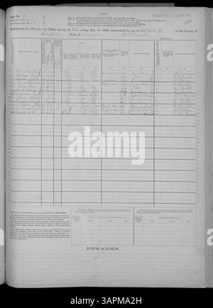 Der Todeszeitplan 1880 für Missouri enthält detaillierte Todesberichte von Adair bis Franklin County, einschließlich Alter, Todesursache, Geschlecht und Wohnort des Verstorbenen. Stockfoto