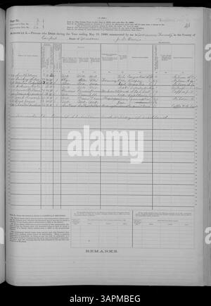 Dieser Eintrag aus dem Todeszeitplan 1880 für Missouri umfasst Grafschaften von Adair bis Franklin und listet die Details der Verstorbenen wie Alter, Todesursache, Geschlecht und Todesort auf. Stockfoto