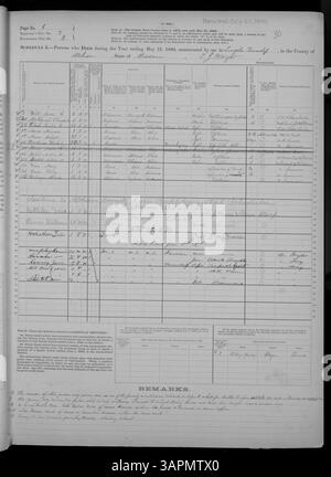 Dieser Eintrag aus dem Mortalitätskalender 1880 für Missouri enthält Daten über Todesfälle von Adair bis Franklin Counties, als Teil der Census Collection der Missouri Historical Society, Band 10. Der Zeitplan enthält Todesursachen und persönliche Angaben für Einzelpersonen. Stockfoto