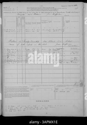 Der Mortalitätsplan 1880 für Missouri liefert Todesdaten von Adair bis Franklin County, einschließlich Alter, Geschlecht und Todesursachen als Teil des U.S. Census. Stockfoto
