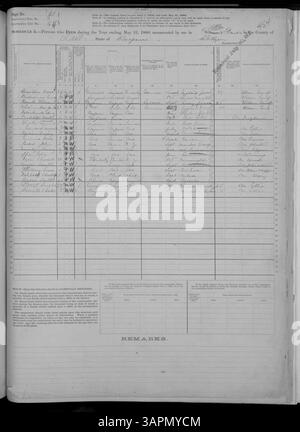Der Mortalitätsplan 1880 für Missouri bietet Aufzeichnungen von Adair bis Franklin Countys, in denen Verstorbene, ihr Alter und Todesursachen als Teil der Census Collection der Missouri Historical Society aufgeführt werden. Stockfoto