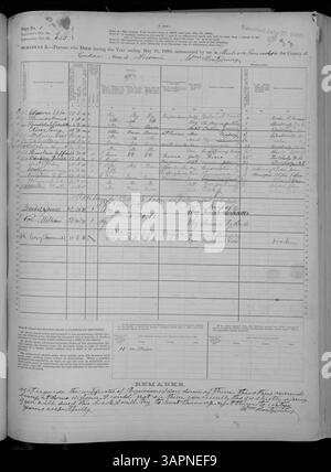 Dieser Mortalitätsplan für Missouri, 1880, liefert Todesdaten von Adair an Franklin Countys, in denen Ursachen, Alter und Geschlecht im Rahmen des U.S. Census detailliert dargestellt werden. Stockfoto