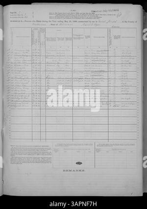Der Mortalitätskalender 1880 aus den Countys Adair und Franklin in Missouri liefert Todesdaten, einschließlich Todesursachen, Alter und andere demografische Details, als Teil der Missouri Historical Society Census Collection. Stockfoto