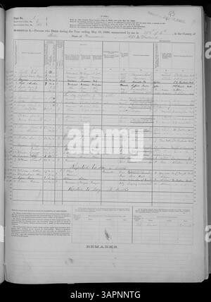 Dieses Dokument aus dem U.S. Census Mortalitätskalender 1880 beschreibt Todesfälle in Missouri Countys von Adair bis Franklin, mit Informationen über Ursachen, Alter und Geschlecht. Stockfoto