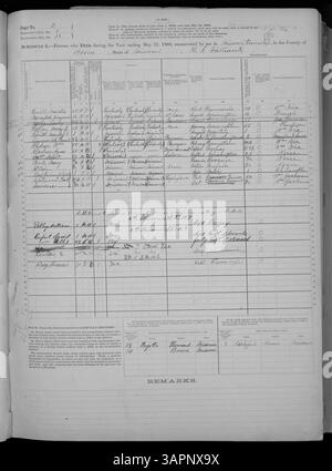 Dieser Mortalitätsplan ist Teil der US-Volkszählung von 1880 und verzeichnet Todesfälle in Missouri von Adair bis Franklin County, wobei Ursachen, Alter und Geschlecht genannt werden. Stockfoto