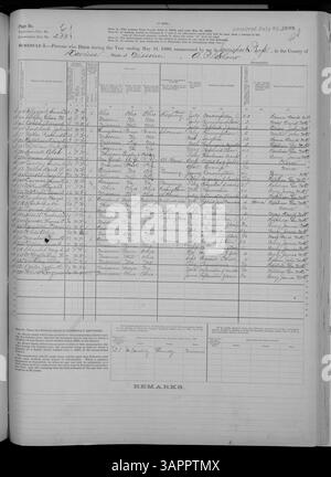 Der Mortalitätsplan 1880 für Missouri enthält detaillierte Todesberichte von Adair bis Franklin County, die Todesursachen, Alter und Geschlecht als Teil des U.S. Census dokumentieren. Stockfoto
