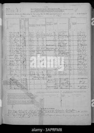 Band 10 der Missouri Historical Society Census Collection enthält den Mortalitätsplan 1880 für Missouri Countys, der Adair bis Franklin umfasst. Es liefert wichtige historische Einblicke in die Sterblichkeitsmuster, die öffentliche Gesundheit und den demografischen Wandel im späten 19. Jahrhundert. Stockfoto