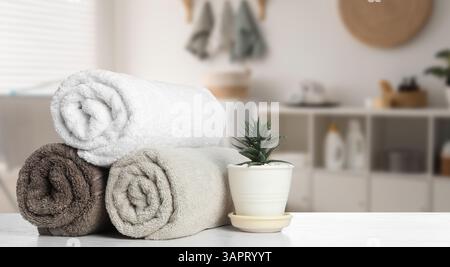 Frische, saubere Handtücher und Topfpflanzen auf dem Tisch im Bad, Banner-Design. Leerzeichen für Text. Heimtextilien Stockfoto