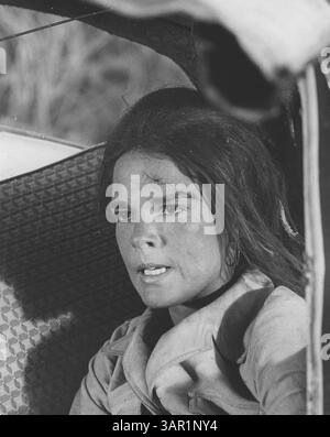 April 2011 - ALI MACGRAW. Bereitgestellt von Photos, inc (Kreditbild: © Globe Photos/ZUMAPRESS.com) Stockfoto