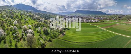 Frühling auf dem Albtrauf der Schwäbischen Alb. Im Lenninger Tal blühen Obstbäume in den Obstgärten rund um das Schloss Teck. Luftaufnahme. Owen, Baden-W Stockfoto