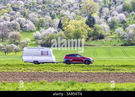Auto mit Wohnwagen auf dem Albtrauf im Lenninger Tal. Blühende Obstbäume in den Obstgärten der Schwäbischen Alb. Owen, Baden-Württemberg, Deutschland Stockfoto