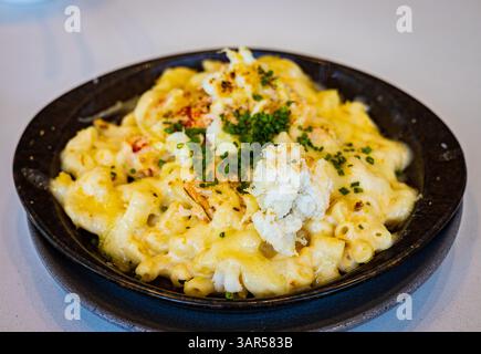 Macarrones mit Käse und Hummer drauf Stockfoto