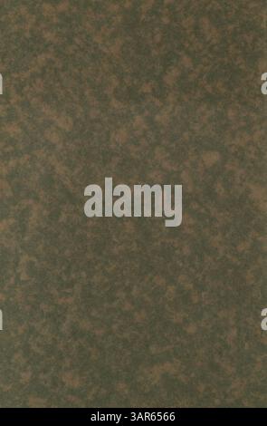 Dieses Highschool-Jahr, die Callopan 1918, zeigt Studenten, Dozenten, Clubs, leichtathletik und bedeutende Ereignisse aus dem Schuljahr 1917-1918 an der Blake School. Stockfoto