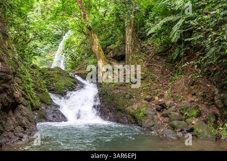 Ein kleiner Wasserfall fließt sanft am Rand des Buhi-Sees in Bicol, Philippinen, umgeben von dichtem Grün und friedlicher natürlicher Schönheit Stockfoto