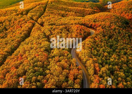 Ein Blick aus der Vogelperspektive auf einen Herbstwald, der in warmen Orange-, Rot- und Goldtönen leuchtet, während sich eine gewundene Straße durch die farbenfrohe Landschaft schlängelt. Herbst in Stockfoto