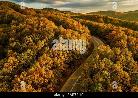 Ein Blick aus der Vogelperspektive auf einen Herbstwald, der in warmen Orange-, Rot- und Goldtönen leuchtet, während sich eine gewundene Straße durch die farbenfrohe Landschaft schlängelt. Herbst in Stockfoto