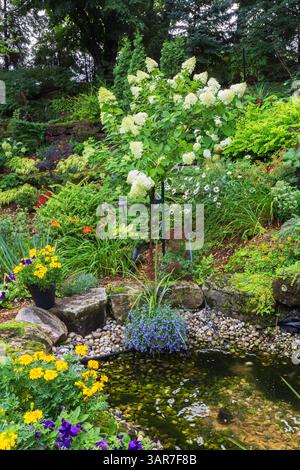 Der Teich wird von Tagetes 'Durango Yellow' begrenzt - Marigold, Lobelia erinus, Lysimachia nummularia 'Aurea' - Goldener Kriechjenny, Hortensia paniculata usw. Stockfoto