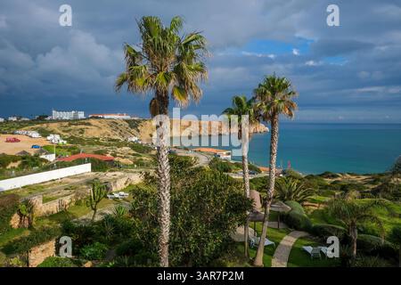 Sagres, Algarve, Portugal - Palmen am Stadtstrand Praia da Mareta, mit dem Aussichtspunkt Ponta da Atalaia im Hintergrund. Stockfoto