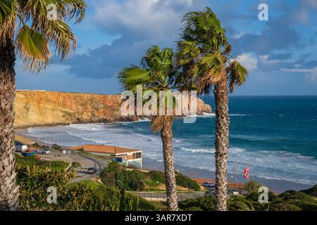 Sagres, Algarve, Portugal - Palmen am Stadtstrand Praia da Mareta, mit dem Aussichtspunkt Ponta da Atalaia im Hintergrund. Stockfoto