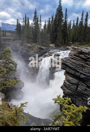 Ein mächtiger Wasserfall taucht in eine felsige Schlucht und erzeugt einen Nebel, der über dem Wasser aufsteigt. Immergrüne Bäume säumen die Gegend und tragen zur Ruhe bei Stockfoto