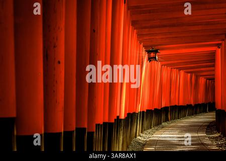 Gehweg mit Torii führt zum Inneren Heiligtum, Fushimi Inari-Taisha Shinto Schrein, Fushimi-Ku, Kyoto, Kyoto Prefecture, Japan Stockfoto