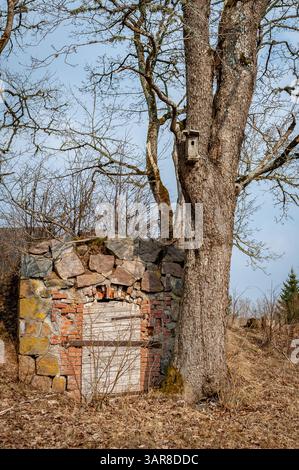 Alter Steinwurzelkeller mit verwitterter Holztür im Garten. Alter traditioneller Keller in der Ostsee aus Steinen und Holz. Stockfoto