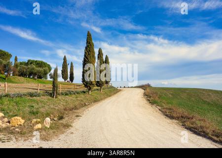 Typische weiße Schotterstraße in der Toskana Italien Stockfoto