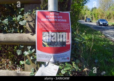 London, England, Großbritannien. April 2025. Ein Schild informiert über die Erweiterung der Biberanlage in Enfield. Biber werden in Großbritannien zunehmend wieder eingeführt, nachdem sie im 16. Jahrhundert bis zum Aussterben gejagt wurden. (Kreditbild: © Vuk Valcic/ZUMA Press Wire) NUR REDAKTIONELLE VERWENDUNG! Nicht für kommerzielle ZWECKE! Quelle: ZUMA Press, Inc./Alamy Live News Stockfoto