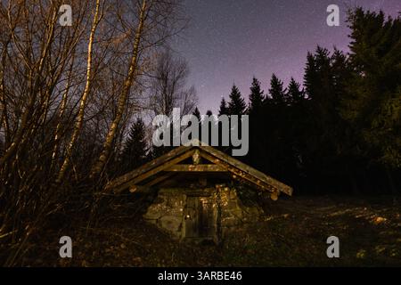 Alter Steinkeller mit Holzdach, versteckt in einem dunklen Wald, beleuchtet unter einem Sternenhimmel mit den Nordlichtern (Aurora Borea) Stockfoto