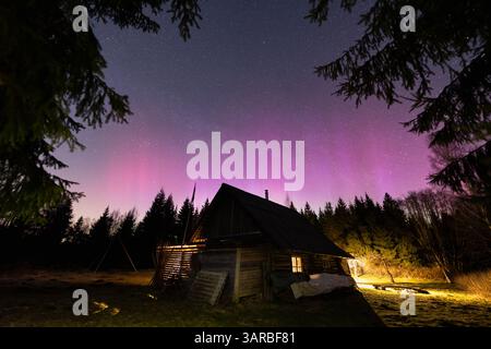 Estnische Natur: Gemütliches Licht aus einer Kabine beleuchtet eine Waldlichtung unter der hellen aurora Borealis. Stockfoto