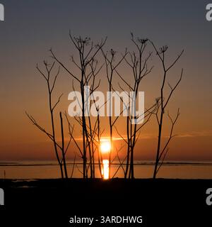 Farbiger Sonnenuntergang aus dem Morbihan Golf in der Bretagne (Morbihan), Frankreich. Stockfoto