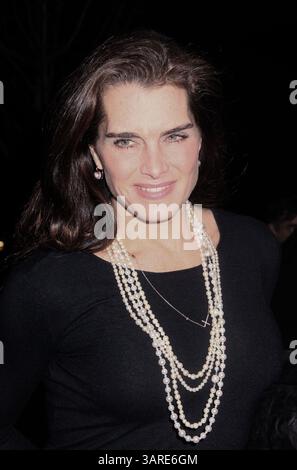 21. Januar 2010 – New York, New York, USA – Schauspielerin BROOKE SHIELDS nimmt an der New Yorker Vorführung von „ Außergewöhnliche Maßnahmen“ im SVA Theater Teil. (Bild: © Nancy Kaszerman/ZUMA Press) Stockfoto