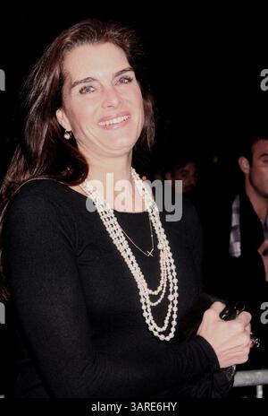 21. Januar 2010 – New York, New York, USA – Schauspielerin BROOKE SHIELDS nimmt an der New Yorker Vorführung von „ Außergewöhnliche Maßnahmen“ im SVA Theater Teil. (Bild: © Nancy Kaszerman/ZUMA Press) Stockfoto