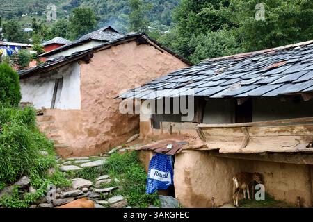 Traditionelle dörfliche Häuser mit Schieferdach mit Steinpfaden und einem Kalb im Gebiet Bhagsu Nag in der Nähe von Dharamshala, Himachal Pradesh, Indien. Stockfoto