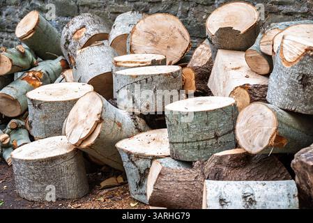 Ein Haufen frisch geschnittener Stämme und Brennholz steht bereit für den Gebrauch, der in den kälteren Monaten Wärme liefert. Die Vielfalt der Größen und Holzarten ist Stockfoto
