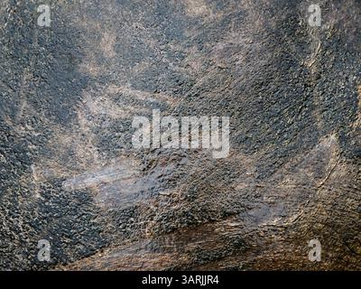 Nahaufnahme der Muschelstruktur der Seychellen-Schildkröte (Aldabrachelys gigantea), Aldabra-Riesenschildkröte Hintergrund Stockfoto