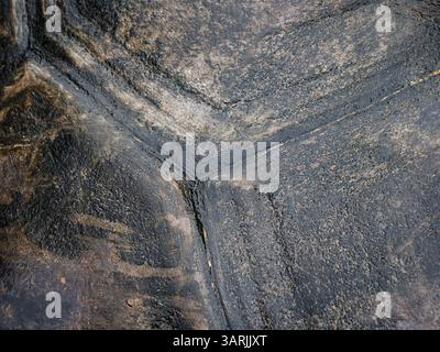 Nahaufnahme der Muschelstruktur der Seychellen-Schildkröte (Aldabrachelys gigantea), Aldabra-Riesenschildkröte Hintergrund Stockfoto