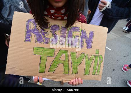 Juli 2013 - London, England, Vereinigtes Königreich - Hunderte von Demonstranten versammeln sich im Hyde Park, um Solidarität mit den Demonstranten des Gezi Park in der Türkei zu zeigen. Die türkische Polizei hat am zweiten Tag im Gezi-Park in Istanbul gewaltsam mit Demonstranten zusammengeschlagen. (Kreditbild: © Gail Orenstein/ZUMAPRESS.com) Stockfoto