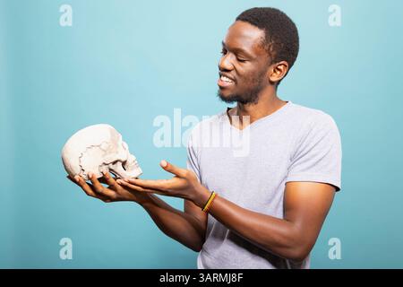 Afroamerikaner, der neugierig einen menschlichen Schädel bewundert und ihn sanft vor einem isolierten Hintergrund hält. Schwarzes männliches Modell, das in einem einfachen Studio steht und auf einen Skelettkopf mit Gesten bewegt. Stockfoto