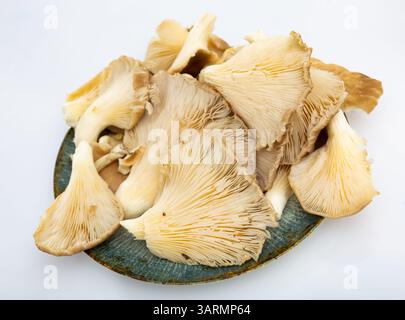 Es gibt einen Haufen roher Austernpilze auf dem Schneidebrett. Stockfoto