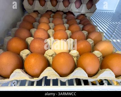 Große rohe braune Eier und ein kleines gelbes Hühnerei befinden sich auf einem Karton. Die Eier sind von einem Bauernmarkt, wo die Nährstoffe. Stockfoto